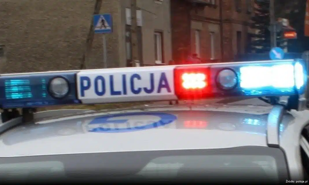 Policjanci z Poznania uratowali zziębniętego psa na Jeżycach