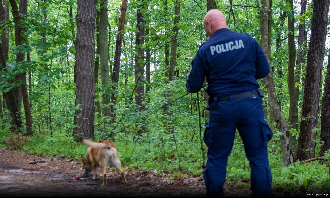 Trzy osoby zatrzymane za handel podrabianymi ubraniami w okolicy Mosiny