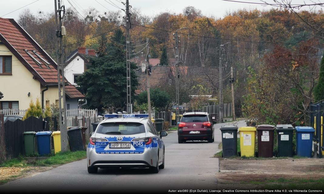 Uszkodzenie pojazdów na poznańskiej Starówce – sprawca w rękach policji